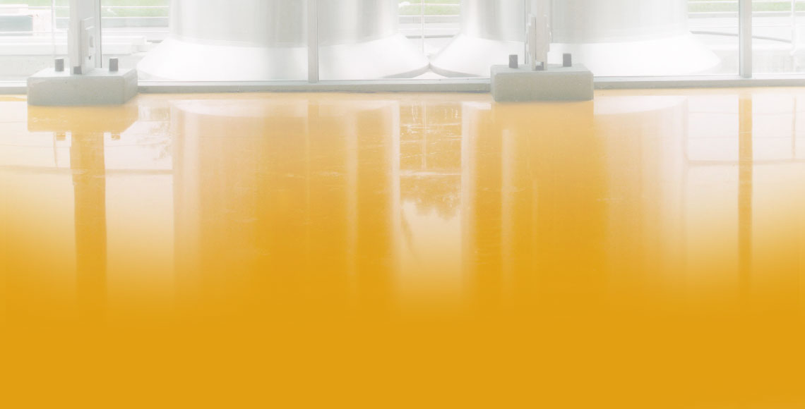 Ponsel Böden Reinigung